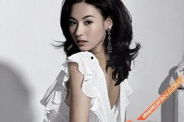 香港明星大全图片大全