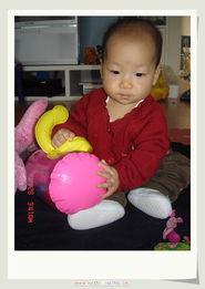 乐巴的照片,捕捉瞬间，展现独特魅力