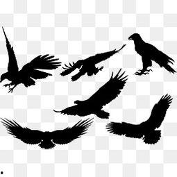 飞图片,捕捉壮丽航拍瞬间