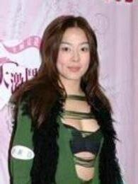 陈加玲个人资料,才华横溢的艺术家，人生轨迹与成就概览