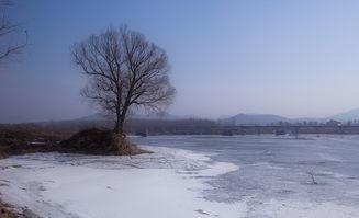 死气沉沉的图片,探寻死气沉沉画面背后的故事