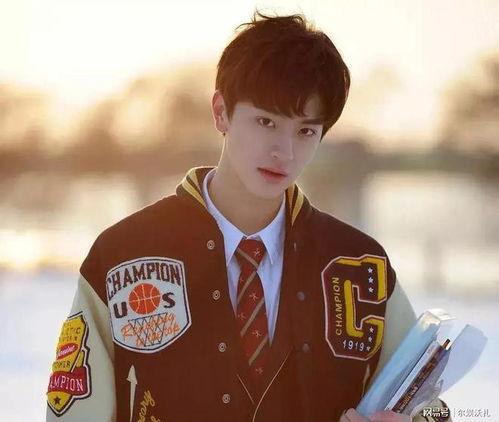 林一 个人资料,青春偶像的蜕变之路