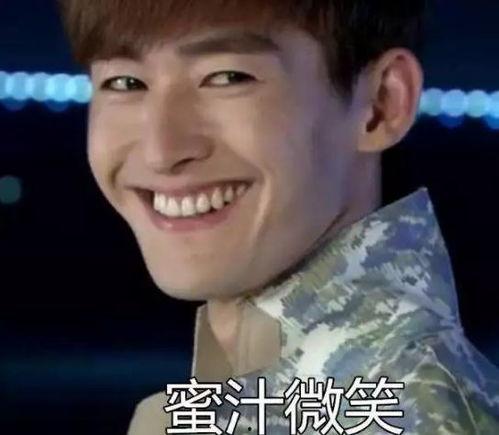 张翰微笑狗表情包