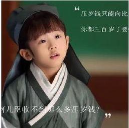 糯米阿离团表情包,萌动瞬间，笑点满满