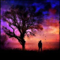 滥情的图片,滥情光影下的情感漩涡