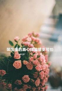 滥情的图片,滥情光影下的情感漩涡