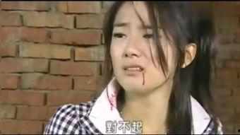 放羊的星星花絮歌曲,唤醒回忆的旋律之旅